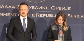 Srbija i Mađarska posvećene razvoju saradnje u oblasti energetike