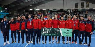 Teniska reprezentacija Srbije u Svetskoj grupi Dejvis kupa