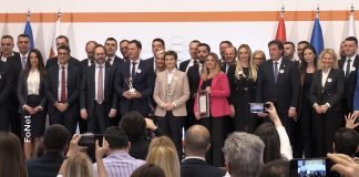 Brnabić na predstavljanju NALED-ove „Sive knjige“