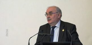 Izabran novi predsednik SANU
