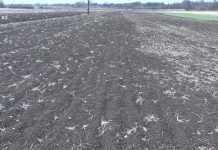 Rokovi za setvu i sadnju povrća