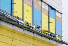 30 miliona dinara za nabavku novih pčelinjih društava i opreme za pčelarstvo