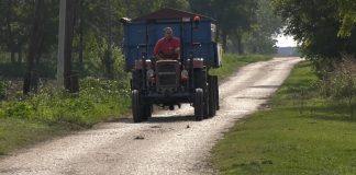 Prijave za podsticaje počinju 3. aprila, premije za mleko prve na redu