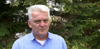 Dragoslav Ljubičić – Prelazak EPS-a u akcionarsko društvo neće imati pozitivne efekte