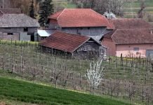 Tokom 2022. godine 135 korisnika dobilo IPARD podršku