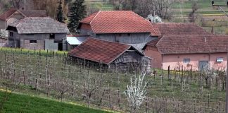 Tokom 2022. godine 135 korisnika dobilo IPARD podršku