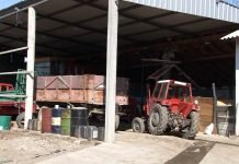 Popis poljoprivrede – Odgovori na oko 60 pitanja