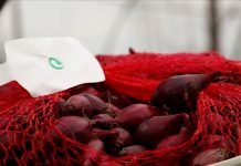 Zašto je crveni luk potrebno gajiti drugačije nego crni ili žuti