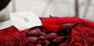 Zašto je crveni luk potrebno gajiti drugačije nego crni ili žuti