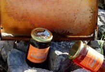 Tradicija pčelarenja u porodici Gudelj