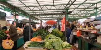 Cene namirnica na pijacama i u trgovinama u Srbiji