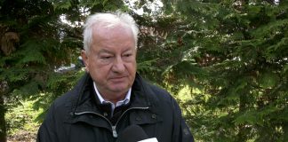 Miodrag Zec – Poskupljenje nastaje kad se raziđu količina novca i količina robe