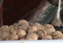 Hranjiva i lekovita svojstva oraha