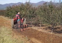 U toku prijavljivanje poljoprivrednika za 9.000 dinara po hektaru, isplata počela