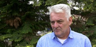 Dragoslav Ljubičić – U svakom segmentu energetskog sistema ima upliva politike