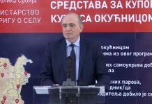 Krkobabić – Do sada 1.740 seoskih kuća dobilo nove stanare