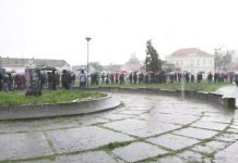 Protest ,,Zrenjanin protiv nasilja’’