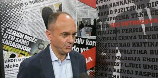 Zoran Vuletić – Referendum o nepoverenju Vučiću ne bi bio dobar po Srbiju
