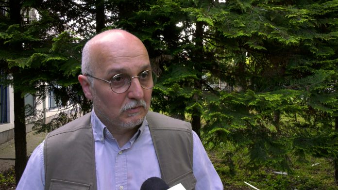 dp zlaanovic