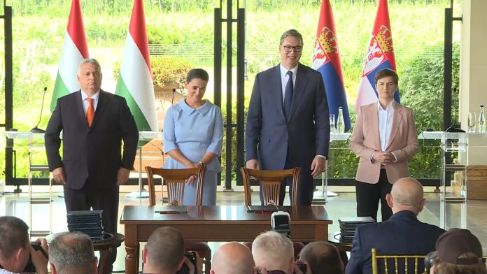 01 vucic