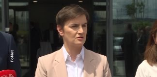 Brnabić o karikaturi u nedeljniku NIN