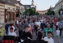 Zrenjanin protiv nasilja – U subotu blokada kružnog toka kod Linglonga