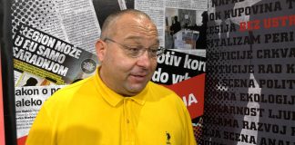 Vladimir Vuletić – O ulasku Janka Tipsarevića u SNS