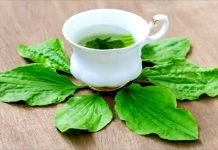 Lek za sve – bokvica