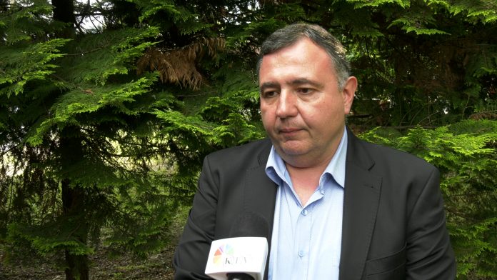 dragomir andjelkovic