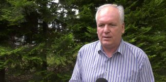 Branko Pavlović – Zapad zaoštrava svoje odnose sa Prištinom, ali nisu okrenuli drugi list