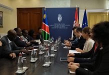 Sastanak Dačića i delegacije Ministarstva zdravlja Namibije