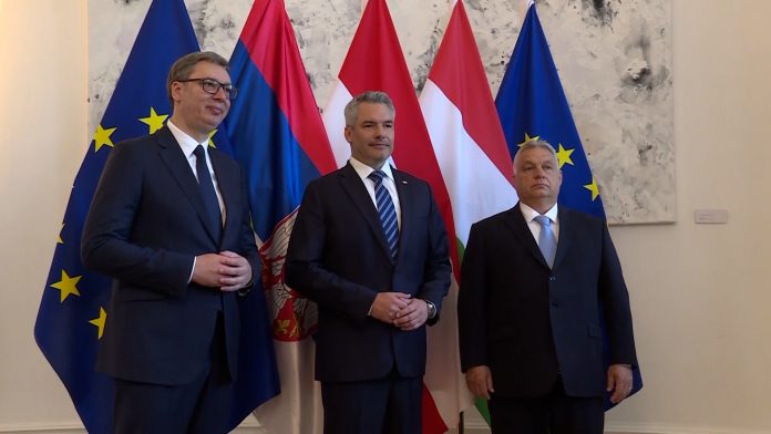01 vucic