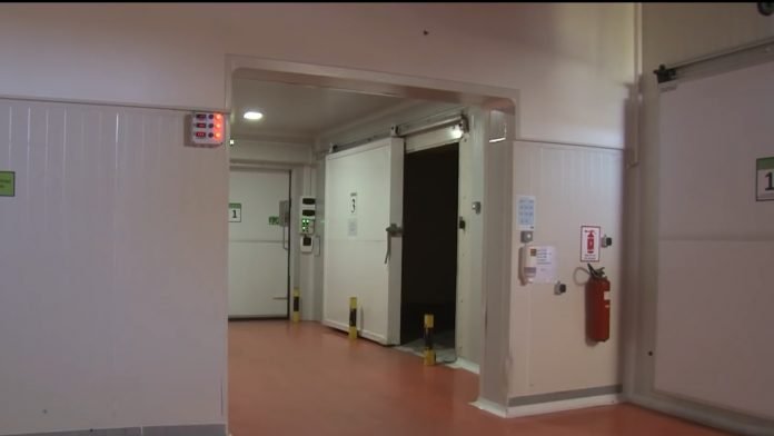 13 hladnjačari