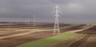 Država ulaže 320 miliona evra u jačanje distributivne mreže