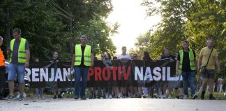 Novi protest Zrenjanin protiv nasilja – Podršku pružili narodni poslanici i majka iz Pećinaca