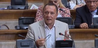Zoran Sandić (Novi DSS): Našoj deci ćemo ostaviti prezaduženu Srbiju