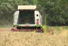 Doprinosi za poljoprivrednike – Obračun i uručenje rešenja za 2023. godinu