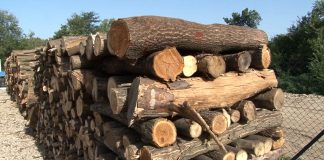 Pojeftinio čvrst ogrev, stručnjaci ocenjuju da je dobro vreme za nabavku