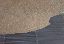 Robne rezerve počinju kupovinu 200.000 tona pšenice po ceni 25 dinara