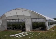 Pregrevanje biljaka: Kako rashladiti plastenik?