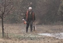 Za razvoj lovstva u Vojvodini 96,6 miliona dinara