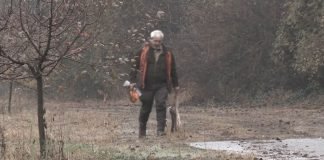 Za razvoj lovstva u Vojvodini 96,6 miliona dinara