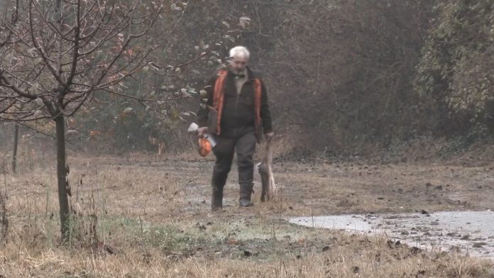 razvoj lovstva