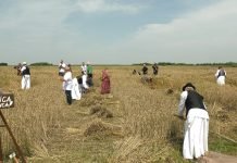 Održan 40. Žetelački dan – u slavu kosidbe, žita i novog hleba