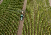 Otkupna cena za duvan najboljeg kvaliteta više od 600 dinara bez PDV-a po kilogramu