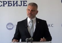 Afrička kuga svinja – POKS traži odgovornost nadležnih