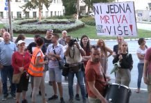 Protesti u Nišu, Novom Sadu i Bačkoj Palanci