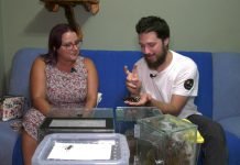 Kolekcionar tarantula Siniša Nikšić – Saveti za ljubitelje početnike