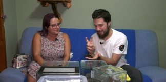 Kolekcionar tarantula Siniša Nikšić – Saveti za ljubitelje početnike