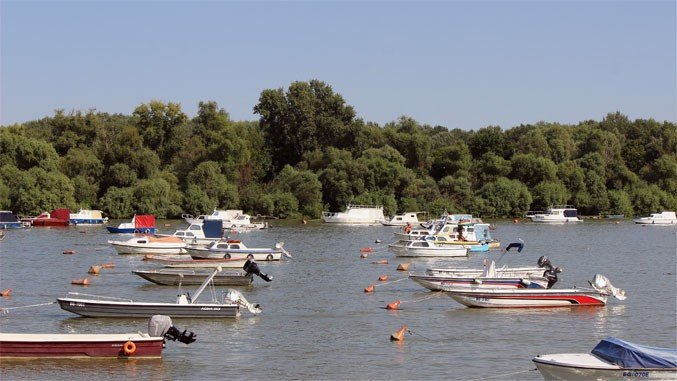 Vodostaj Dunava u porastu u naredna četiri dana